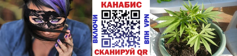 Шишки марихуана VHQ  продажа наркотиков  Новосиль 